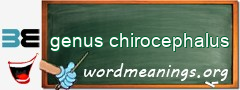 WordMeaning blackboard for genus chirocephalus